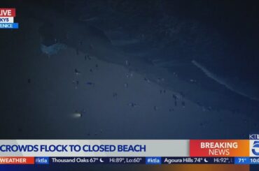 Crowds spotted at Venice Beach despite shutdown