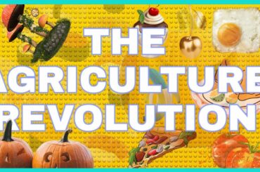 The Agricultural Revolution | The History of Food 🍴🍕🍔 | how to start cooking? Documentary video
