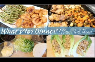 What's For Dinner?! Even MORE Easy, Family Friendly, Dinner Recipes! Looks Good AND Tastes Good!