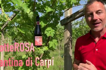 Cantina di Carpi ‘NotteRosa’ Brut Rosé