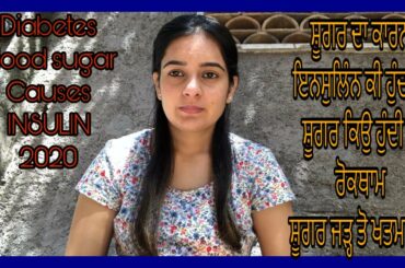 stop DIABETES / Blood sugar || What is INSULIN ?causes || TR lifestyle italy vlogs (2020)