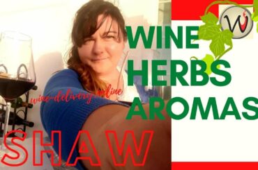 #Ambruzzo #Maratheftiko What wine do we need for pizza?