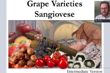 Grape Varieties - Sangiovese Intermediate Version ideal for WSET L2