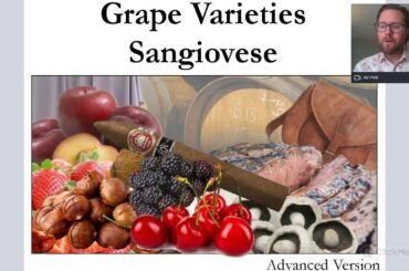 Grape Varieties - Sangiovese Advanced Level ideal for WSET L3 and L4
