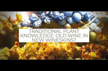 Traditional Plant Knowledge: Old Wine in New Wineskins? - Prof. Pieroni