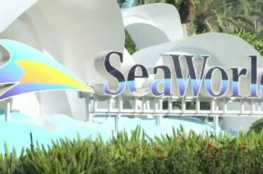 SeaWorld earnings, attendance plunge as COVID-19 wreaks havoc on tourism industry