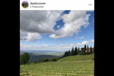#VineyardChat with winemaker Laura Gray of Il Palazzone in Montalcino, Italy