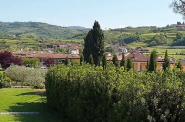 Valpolicella ...verona .italy .