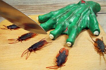 Stop Motion Cooking - Recipe Meat Pie From Zombie  Horror Cooking ASMR 4K