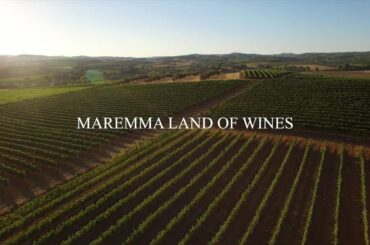 Maremma Land of wine