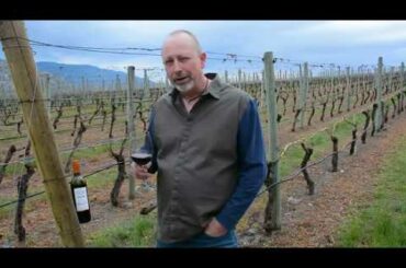 From our Cellar to Yours: Character Red virtual wine tasting with Winemaker Mark Hopley