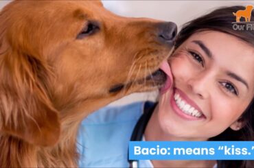 20 Italian Dog Names