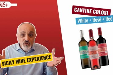 Cantine Colosi (Sicily): White + Rosé + Red wines bundle on www.lazada.sg