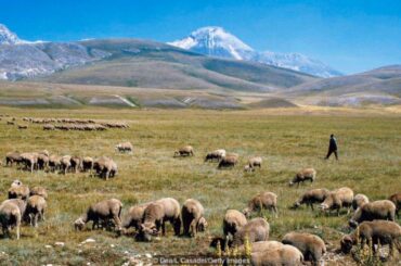 Italy’s beloved 3-ingredient pasta dish