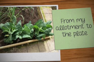 The simplest way to enjoy your greens