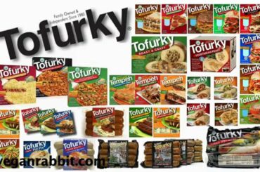 MEAT Free Meals (EASY CHEAP HEALTHY) Italian Indian Chinese Mexican Recipes Lunch Dinner Breakfast