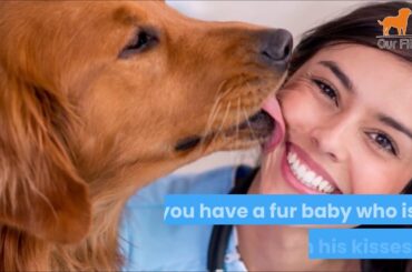 20 Italian Dog Names