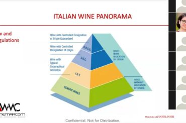 A Tour Of Italy Through Wines