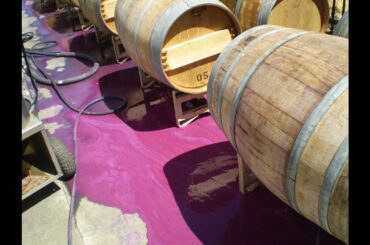 Prima Materia 2017 Barbera overview