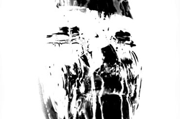 Wine Junkies - Open Doors