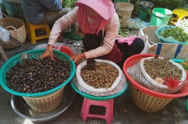 Asian Street Food - Natural Living In Cambodian Market - Fresh Food View In Phnom Penh Village Food