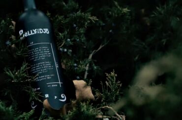 Italian wine label Bellyvadjo