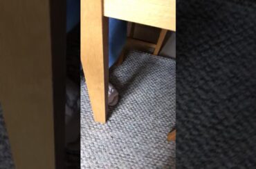 Tasting food•RICE NOODLES,SOUP AND ITALIAN BREAD•