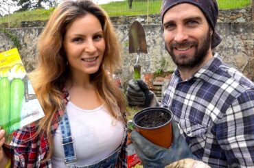 GARDENING LIFE in our Mountain Home Italy / Growing vegetables from seeds
