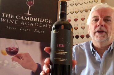 I Muri Primitivo 2018