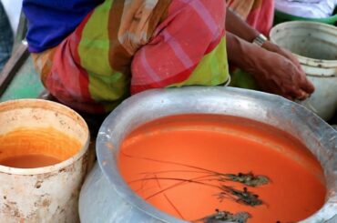 Street food of Dhaka - Bengali Street Food / Bangladeshi Street Food / Best Street foods Part - 776