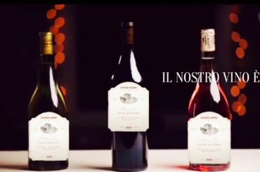 BRUNELLO by Divino Bacco - italian wine commercial