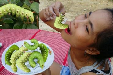 Primitive Technology Find food - How to find and cooking Banana Worms for food