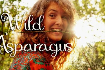 Wild asparagus foraging - All you need to know | Wild food series Italy