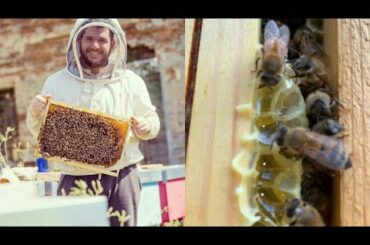 Italy’s sweetest honey: Giorgio Poeta, the beekeeper who treats bees with love