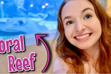 Eating at Epcot's Coral Reef Restaurant! Disney Dining Review - Walt Disney World Vlog