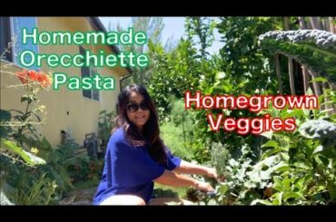 Homemade Orecchiette with Homegrown Broccoli and Broccolini | Making Pasta | Cooking and Gardening
