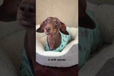 I have been the case of beer and wine. the