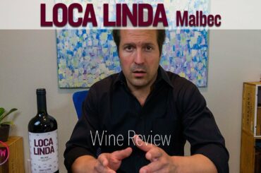 Tasting Malbec | Crazy Beautiful Wines