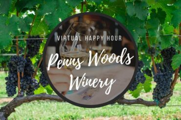 Virtual Happy Hour featuring Chateau Bu-De’s Jacques van der Vyer