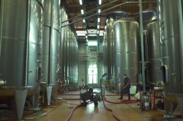 Unsold wine could be converted to hand sanitising gel