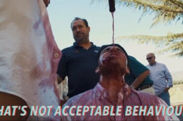 NELK RUINED WINE TOUR BEST MOMENTS!