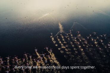 Italian WINE Week presents Strada Vino e Sapori Friuli Venezia Giulia