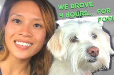 CHILI DOGS, CHICAGO DOGS, AND ITALIAN BEEF CAR-BANG | FOOD ADVENTURE