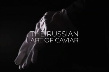 The Russian Art of Caviar, Fine Dining in St. Petersburg