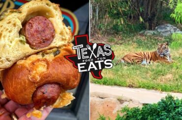 Texas Eats Ep.18 : Wild about Food at the SA Zoo