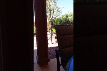 Outside eating lunch beautiful day!