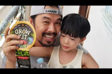 FILIPINO KETO: GROW YOUR OWN FOOD WITH GROW KIT ITALIAN PARSLEY