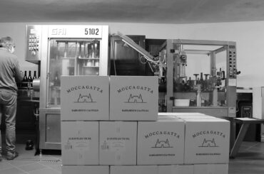 MOCCAGATTA, Dolcetto d'Alba 2019 labelling