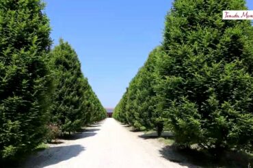 Tenuta Monterosso - Abano Terme (PD) - Italy