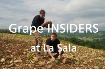 Grape INSIDERS: La Sala winery in Chianti Classico, Tuscany Wine Tours